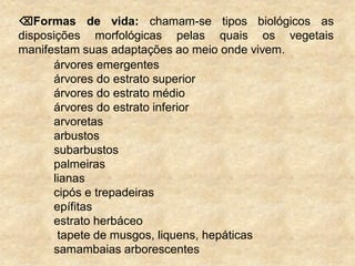 Formas de vida: chamam-se tipos biológicos as
disposições morfológicas pelas quais os vegetais
manifestam suas adaptações ao meio onde vivem.
árvores emergentes
árvores do estrato superior
árvores do estrato médio
árvores do estrato inferior
arvoretas
arbustos
subarbustos
palmeiras
lianas
cipós e trepadeiras
epífitas
estrato herbáceo
tapete de musgos, liquens, hepáticas
samambaias arborescentes
 