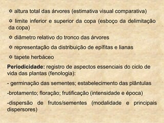  altura total das árvores (estimativa visual comparativa)
 limite inferior e superior da copa (esboço da delimitação
da copa)
 diâmetro relativo do tronco das árvores
 representação da distribuição de epífitas e lianas
 tapete herbáceo
Periodicidade: registro de aspectos essenciais do ciclo de
vida das plantas (fenologia):
- germinação das sementes; estabelecimento das plântulas
-brotamento; floração; frutificação (intensidade e época)
-dispersão de frutos/sementes (modalidade e principais
dispersores)
 