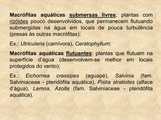 Macrófitas aquáticas submersas livres; plantas com
rizóides pouco desenvolvidos, que permanecem flutuando
submergidas na água em locais de pouca turbulência
(presas às outras macrófitas);
Ex.: Utricularia (carnívora), Ceratophyllum;
Macrófitas aquáticas flutuantes: plantas que flutuam na
superfície d‟água (desenvolvem-se melhor em locais
protegidos do vento);
Ex.: Eichornea crassipes (aguapé), Salvinia (fam.
Salviniaceae - pteridófita aquática), Pistia stratiotes (alface
d‟água), Lemna, Azolla (fam. Salviniaceae - pteridófita
aquática).
 