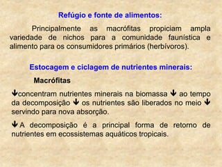 Refúgio e fonte de alimentos:
Principalmente as macrófitas propiciam ampla
variedade de nichos para a comunidade faunística e
alimento para os consumidores primários (herbívoros).
Estocagem e ciclagem de nutrientes minerais:
Macrófitas
concentram nutrientes minerais na biomassa  ao tempo
da decomposição  os nutrientes são liberados no meio 
servindo para nova absorção.
 A decomposição é a principal forma de retorno de
nutrientes em ecossistemas aquáticos tropicais.
 