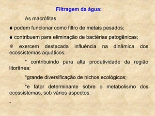 Filtragem da água:
As macrófitas:
 podem funcionar como filtro de metais pesados;
 contribuem para eliminação de bactérias patogênicas;
 exercem destacada influência na dinâmica dos
ecossistemas aquáticos:
* contribuindo para alta produtividade da região
litorânea;
*grande diversificação de nichos ecológicos;
*e fator determinante sobre o metabolismo dos
ecossistemas, sob vários aspectos:
-
 