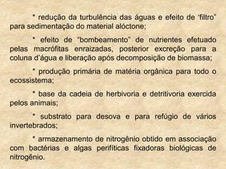 * redução da turbulência das águas e efeito de „filtro”
para sedimentação do material alóctone;
* efeito de “bombeamento” de nutrientes efetuado
pelas macrófitas enraizadas, posterior excreção para a
coluna d‟água e liberação após decomposição de biomassa;
* produção primária de matéria orgânica para todo o
ecossistema;
* base da cadeia de herbivoria e detritivoria exercida
pelos animais;
* substrato para desova e para refúgio de vários
invertebrados;
* armazenamento de nitrogênio obtido em associação
com bactérias e algas perifíticas fixadoras biológicas de
nitrogênio.
 