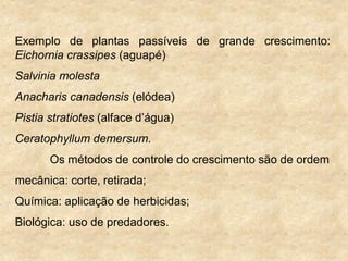 Exemplo de plantas passíveis de grande crescimento:
Eichornia crassipes (aguapé)
Salvinia molesta
Anacharis canadensis (elódea)
Pistia stratiotes (alface d‟água)
Ceratophyllum demersum.
Os métodos de controle do crescimento são de ordem
mecânica: corte, retirada;
Química: aplicação de herbicidas;
Biológica: uso de predadores.
 