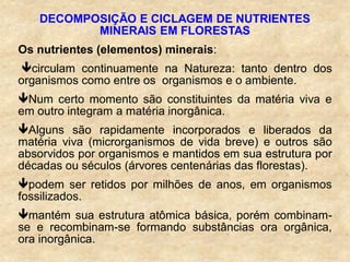 DECOMPOSIÇÃO E CICLAGEM DE NUTRIENTES
MINERAIS EM FLORESTAS
Os nutrientes (elementos) minerais:
circulam continuamente na Natureza: tanto dentro dos
organismos como entre os organismos e o ambiente.
Num certo momento são constituintes da matéria viva e
em outro integram a matéria inorgânica.
Alguns são rapidamente incorporados e liberados da
matéria viva (microrganismos de vida breve) e outros são
absorvidos por organismos e mantidos em sua estrutura por
décadas ou séculos (árvores centenárias das florestas).
podem ser retidos por milhões de anos, em organismos
fossilizados.
mantém sua estrutura atômica básica, porém combinam-
se e recombinam-se formando substâncias ora orgânica,
ora inorgânica.
 