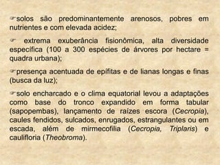 solos são predominantemente arenosos, pobres em
nutrientes e com elevada acidez;
 extrema exuberância fisionômica, alta diversidade
específica (100 a 300 espécies de árvores por hectare =
quadra urbana);
presença acentuada de epífitas e de lianas longas e finas
(busca da luz);
solo encharcado e o clima equatorial levou a adaptações
como base do tronco expandido em forma tabular
(sapopembas), lançamento de raízes escora (Cecropia),
caules fendidos, sulcados, enrugados, estrangulantes ou em
escada, além de mirmecofilia (Cecropia, Triplaris) e
caulifloria (Theobroma).
 