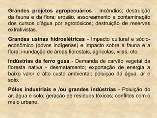 Grandes projetos agropecuários - Incêndios; destruição
da fauna e da flora; erosão, assoreamento e contaminação
dos cursos d‟água por agrotóxicos; destruição de reservas
extrativistas.
Grandes usinas hidroelétricas - Impacto cultural e sócio-
econômico (povos indígenas) e impacto sobre a fauna e a
flora; inundação de áreas florestais, agrícolas, vilas, etc.
Indústrias de ferro gusa - Demanda de carvão vegetal da
floresta nativa - desmatamento; exportação de energia a
baixo valor e alto custo ambiental; poluição da água, ar e
solo.
Pólos industriais e /ou grandes indústrias - Poluição do
ar, água e solo; geração de resíduos tóxicos; conflitos com o
meio urbano.
 