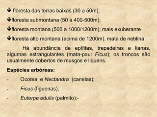  floresta das terras baixas (30 a 50m);
floresta submontana (50 a 400-500m);
floresta montana (500 a 1000/1200m); mais exuberante
floresta alto montana (acima de 1200m). mata de neblina.
Há abundância de epífitas, trepadeiras e lianas,
algumas estrangulantes (mata-pau: Ficus); os troncos são
usualmente cobertos de musgos e liquens.
Espécies arbóreas:
- Ocotea e Nectandra (canelas);
- Ficus (figueiras);
- Euterpe edulis (palmito);-
 