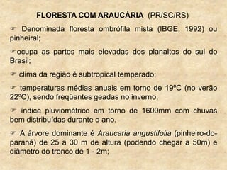 FLORESTA COM ARAUCÁRIA (PR/SC/RS)
 Denominada floresta ombrófila mista (IBGE, 1992) ou
pinheiral;
ocupa as partes mais elevadas dos planaltos do sul do
Brasil;
 clima da região é subtropical temperado;
 temperaturas médias anuais em torno de 19ºC (no verão
22ºC), sendo freqüentes geadas no inverno;
 índice pluviométrico em torno de 1600mm com chuvas
bem distribuídas durante o ano.
 A árvore dominante é Araucaria angustifolia (pinheiro-do-
paraná) de 25 a 30 m de altura (podendo chegar a 50m) e
diâmetro do tronco de 1 - 2m;
 