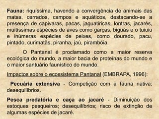 Fauna: riquíssima, havendo a convergência de animais das
matas, cerrados, campos e aquáticos, destacando-se a
presença de capivaras, pacas, jaguatiricas, lontras, jacarés,
muitíssimas espécies de aves como garças, biguás e o tuiuiu
e inúmeras espécies de peixes, como dourado, pacu,
pintado, curimatãs, piranha, jaú, pirambóia.
O Pantanal é proclamado como a maior reserva
ecológica do mundo, a maior bacia de proteínas do mundo e
o maior santuário faunístico do mundo.
Impactos sobre o ecossistema Pantanal (EMBRAPA, 1996):
Pecuária extensiva - Competição com a fauna nativa;
desequilíbrios.
Pesca predatória e caça ao jacaré - Diminuição dos
estoques pesqueiros; desequilíbrios; risco de extinção de
algumas espécies de jacaré.
 