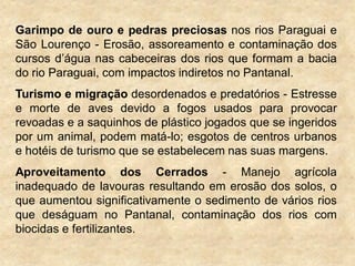 Garimpo de ouro e pedras preciosas nos rios Paraguai e
São Lourenço - Erosão, assoreamento e contaminação dos
cursos d‟água nas cabeceiras dos rios que formam a bacia
do rio Paraguai, com impactos indiretos no Pantanal.
Turismo e migração desordenados e predatórios - Estresse
e morte de aves devido a fogos usados para provocar
revoadas e a saquinhos de plástico jogados que se ingeridos
por um animal, podem matá-lo; esgotos de centros urbanos
e hotéis de turismo que se estabelecem nas suas margens.
Aproveitamento dos Cerrados - Manejo agrícola
inadequado de lavouras resultando em erosão dos solos, o
que aumentou significativamente o sedimento de vários rios
que deságuam no Pantanal, contaminação dos rios com
biocidas e fertilizantes.
 