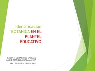 Identificación
BOTANICA EN EL
PLANTEL
EDUCATIVO
EVELYN GERALDINE VARGAS
ANGIE MARCELA SALAMANCA
HELLEN GERALDINE CARO
 