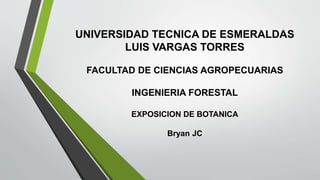 UNIVERSIDAD TECNICA DE ESMERALDAS
LUIS VARGAS TORRES
FACULTAD DE CIENCIAS AGROPECUARIAS
INGENIERIA FORESTAL
EXPOSICION DE BOTANICA
Bryan JC
 