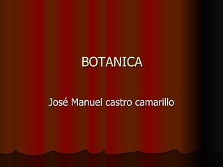 BOTANICA José Manuel castro camarillo 