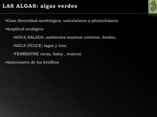 •Gran diversidad morfológica: unicelulares a pluricelulares
•Amplitud ecológica:
•AGUA SALADA: ambientes marinos costeros, fondos,
•AGUA DULCE: lagos y rios;
•TERRESTRE rocas, lodos , troncos
•Antecesores de los briófitos
 