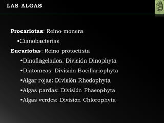 Procariotas: Reino monera
•Cianobacterias
Eucariotas: Reino protoctista
•Dinoflagelados: División Dinophyta
•Diatomeas: División Bacillariophyta
•Algar rojas: División Rhodophyta
•Algas pardas: División Phaeophyta
•Algas verdes: División Chlorophyta
 