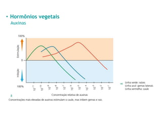 • Hormônios vegetais
Auxinas
 