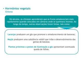 • Hormônios vegetais
Etileno
Há séculos, os chineses aprenderam que os frutos amadureciam mais
rapidamente quando colocados em câmaras onde se queimava incenso. Ao
longo do tempo, outras observações foram feitas, tais como:
Laranjas produzem um gás que promove o amadurecimento de bananas;
Maçãs produzem uma substância volátil que inibe o desenvolvimento das
gemas de batatas;
Plantas próximas a postes de iluminação a gás apresentam acentuada
queda de folhas.
 