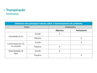 • Transpiração
Estômatos
 