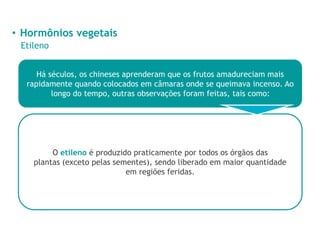 • Hormônios vegetais
Etileno
Há séculos, os chineses aprenderam que os frutos amadureciam mais
rapidamente quando colocados em câmaras onde se queimava incenso. Ao
longo do tempo, outras observações foram feitas, tais como:
O etileno é produzido praticamente por todos os órgãos das
plantas (exceto pelas sementes), sendo liberado em maior quantidade
em regiões feridas.
 