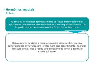 • Hormônios vegetais
Etileno
Há séculos, os chineses aprenderam que os frutos amadureciam mais
rapidamente quando colocados em câmaras onde se queimava incenso. Ao
longo do tempo, outras observações foram feitas, tais como:
Daí o costume de riscar a casca de mamões ainda verdes, que são
posteriormente envolvidos com jornais. Com esse procedimento, há maior
liberação do gás, que é retido pelo envoltório de jornal e acelera o
amadurecimento.
 