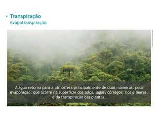 • Transpiração
Evapotranspiração
Dr
Morley
Read/Shutterstock
A água retorna para a atmosfera principalmente de duas maneiras: pela
evaporação, que ocorre na superfície dos solos, lagos, córregos, rios e mares,
e da transpiração das plantas.
 