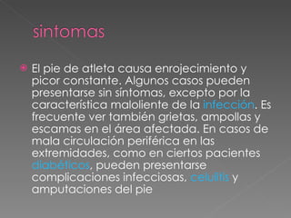 El pie de atleta causa enrojecimiento y picor constante. Algunos casos pueden presentarse sin síntomas, excepto por la característica maloliente de la  infección . Es frecuente ver también grietas, ampollas y escamas en el área afectada. En casos de mala circulación periférica en las extremidades, como en ciertos pacientes  diabéticos , pueden presentarse complicaciones infecciosas,  celulitis  y amputaciones del pie 
