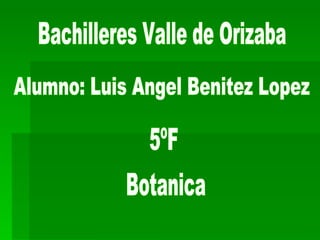 Bachilleres Valle de Orizaba Alumno: Luis Angel Benitez Lopez 5ºF Botanica 