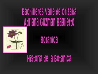 Bachilleres Valle de Orizaba  Adriana Guzman Baglietto Botanica Historia de la Botanica 