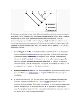 El cladograma representa un carácter plesiomórfico (ancestral) ilustrado como un círculo negro, que en
este caso es a su vez simplesiomórfico, debido a que aparece en al menos 2 grupos: A y B. El carácter
ilustrado como un círculo gris es una apomorfía porque es derivado del ancestro, y a su vez
simapomorfía porque es compartido por al menos 2 grupos: C y D. El carácter círculo blanco, es una
apomorfía y más concretamente una autapomorfía al estar representado únicmente por un grupo: el E.
Para evitar confusiones, conviene aclarar que A, B, C, D y E son taxones existentes y F, G, H e I son
antepasados comunes.
 Apomorfía y plesiomorfía: un estado de carácter que esté presente en los dos grupos
externos (los parientes más cercanos del grupo que no son parte del propio grupo) y en
los ancestros se llama plesiomorfia (que significa "forma cercana", también llamado
estado ancestral). Un estado de carácter que no se como se llama para ese grupo. Se
utilizan los adjetivos plesiomórfico y apomórfico en lugar de "primitivo" y "avanzado"
para evitar realizar juicios de valor sobre la evolución de los caracteres de estado, ya que
ambos pueden ser ventajosos en distintas circunstancias.
 Sinapomorfía y simplesiomorfía: Una sinapomorfía es una apomorfía compartida por un
grupo monofilético; una simplesiomorfía es una plesiomorfía compartida por un grupo
monofilético.
 Se definen varios términos más para describir los cladogramas y las posiciones de los
elementos dentro de ellos. Una especie o clado es basal de otro clado si tiene más
caracteres plesiomórficos que el otro clado. Normalmente un grupo basal es muy pobre en
especies comparado con un grupo más derivado. No se requiere que haya un grupo
basal. Por ejemplo, si se consideran las aves y los mamíferos juntos, ninguno es basal del
otro: ambos tienen muchos caracteres derivados.
 