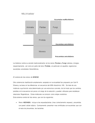 La botánica centra su estudio tradicionalmente en los reinos Plantae y Fungi, plantas y hongos,
respectivamente, así como en parte del reino Protista, en particular en aquellos organismos
eucariotas unicelulares fotosintéticos.
El sistema de tres reinos de WOESE.
Otro sistema de clasificación ampliamente aceptado en la actualidad fue propuesto por Carl R.
Woese y se basa en las diferencias en secuencia del ARN ribosómico 16S. Se trata de una
molécula cuya función esta determinada por una estructura concreta, de tal modo que los cambios
posibles en la secuencia son pocos a lo largo de la evolución y pueden utilizarse para establecer
relaciones filogenéticas. Estas moléculas se conocen como relojes evolutivos.
Este sistema consta de tres reinos, que son los siguientes:
 Reino AECHAEA: incluye a las arqueobacterias (mas correctamente arqueas), procariotas
con pared celular atípica. Curiosamente presentan mas similitudes con eucariotas que con
el resto de procariotas, las bacterias.
 