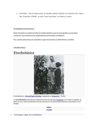  Cormofitos: nivel de organización de aquellas plantas terrestres con autentica raíz, hojas y
tallo. Presentan CORMO, es decir, haces vasculares con floema y xilema.
DETERMINACION BOTANICA
Determinaciónencambioeshallarel nombre botánicoque le corresponde aunejemplar
cualquiera.Ese nombre yafue asiganadopreviamenteporunbotánico.
Así, cuandocompramosuna orquídea,loque necesitamosesdeterminarsunombre
ETNOBOTANICA
Etnobotánica
El etnobotánico, Richard Evans Schultes, trabajando en Amazonia (~1940s).
La etnobotánica estudia las relaciones entre los grupos humanos y su entorno vegetal, es
decir el uso y aprovechamiento de las plantas en los diferentes espacios culturales y en el
tiempo.
Índice
[ocultar]
 1 Etimología y objeto de la etnobotánica
 