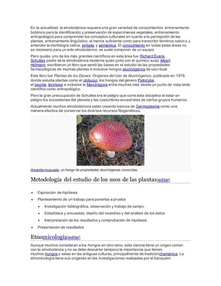 En la actualidad, la etnobotánica requiere una gran variedad de conocimientos: entrenamiento
botánico para la identificación y preservación de especímenes vegetales, entrenamiento
antropológico para comprender los conceptos culturales en cuanto a la percepción de las
plantas, entrenamiento lingüístico, al menos suficiente como para transcribir términos nativos y
entender la morfología nativa, sintaxis y semántica. El conocimiento en todas estas áreas no
es necesario para un solo etnobotánico; se suele componer de un equipo.
Pero quizás uno de los más grandes científicos en esta área fue Richard Evans
Schultes padre de la etnobotánica moderna quien junto con el químico suizo Albert
Hofmann escribieron un libro que sentó las bases en el estudio de las propiedades
farmacológicas de muchas plantas e inclusive hongos alucinógenos de uso ritual.
Este libro fue Plantas de los Dioses: Orígenes del Uso de Alucinógenos, publicado en 1979,
donde estudia plantas como el ololiuqui, los hongos del género Psilocybe,
el peyote, Ipomoea e inclusive la Mandrágora entre muchas más desde un punto de vista tanto
científico como antropológico.
Pero la gran preocupación de Schultes era el peligro que corre esta disciplina al estar en
peligro los ecosistemas del planeta y las costumbres ancestrales de ciertos grupos humanos.
Actualmente muchos etnobotánicos están creando bancos de Germoplasma como una
manera efectiva de conservar los diversos recursos fitogenéticos.
Amanita muscaria, un hongo de propiedades alucinógenas conocidas.
Metodología del estudio de los usos de las plantas[editar]
 Exposición de hipótesis
 Planteamiento de un trabajo para ponerlas a prueba
 Investigación bibliográfica, observación y trabajo de campo.
 Estadística y encuestas: diseño del muestreo y del análisis de los datos
 Interpretación de los resultados y comprobación de hipótesis.
 Presentación de resultados
Etnomicología[editar]
Aunque muchos consideran a los hongos en otro reino, esta ciencia tiene un origen común
con la etnobotánica y no se debe descartar tampoco la importancia que tienen
muchos hongos y setas en las antiguas culturas, principalmente de tradiciónchamánica. La
etnomicología tiene sus orígenes en las investigaciones realizadas por el banquero
 