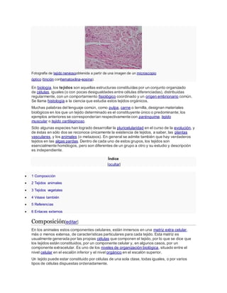 Fotografía de tejido nerviosoobtenida a partir de una imagen de un microscopio
óptico (tinción conhematoxilina-eosina).
En biología, los tejidos son aquellas estructuras constituídas por un conjunto organizado
de células, iguales (o con pocas desigualdades entre células diferenciadas), distribuidas
regularmente, con un comportamiento fisiológico coordinado y un origen embrionario común.
Se llama histología a la ciencia que estudia estos tejidos orgánicos.
Muchas palabras del lenguaje común, como pulpa, carne o ternilla, designan materiales
biológicos en los que un tejido determinado es el constituyente único o predominante; los
ejemplos anteriores se corresponderían respectivamente con parénquima, tejido
muscular o tejido cartilaginoso.
Sólo algunas especies han logrado desarrollar la pluricelularidad en el curso de la evolución, y
de éstas en sólo dos se reconoce únicamente la existencia de tejidos, a saber, las plantas
vasculares, y los animales (o metazoos). En general se admite también que hay verdaderos
tejidos en las algas pardas. Dentro de cada uno de estos grupos, los tejidos son
esencialmente homólogos, pero son diferentes de un grupo a otro y su estudio y descripción
es independiente.
Índice
[ocultar]
 1 Composición
 2 Tejidos animales
 3 Tejidos vegetales
 4 Véase también
 5 Referencias
 6 Enlaces externos
Composición[editar]
En los animales estos componentes celulares, están inmersos en una matriz extra celular,
más o menos extensa, de características particulares para cada tejido. Esta matriz es
usualmente generada por las propias células que componen el tejido, por lo que se dice que
los tejidos están constituidos, por un componente celular y, en algunos casos, por un
componente extracelular. Es uno de los niveles de organización biológica, situado entre el
nivel celular en el escalón inferior y el nivel orgánico en el escalón superior.
Un tejido puede estar constituido por células de una sola clase, todas iguales, o por varios
tipos de células dispuestas ordenadamente.
 