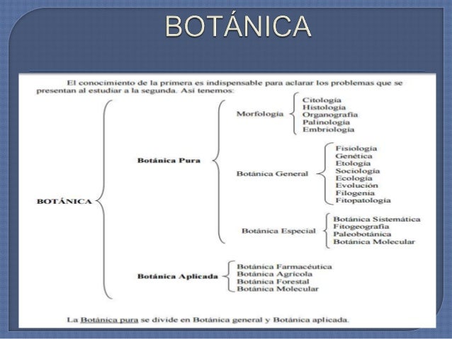 Botanica aplicada 1