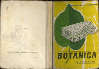 Botanica ix 1967