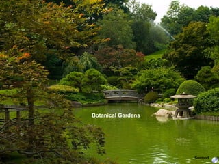 Botanical Gardens Samhod 