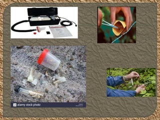 Botanical Evidence Examples Botanical evidences | PPTX