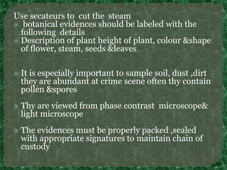 Botanical Evidence Examples Botanical evidences | PPTX