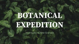BOTANICAL
EXPEDITION
Viceroyalty of New Granada
 