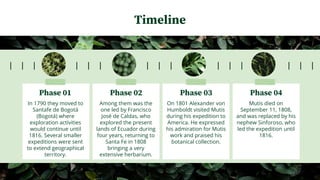 Phase 01
In 1790 they moved to
Santafe de Bogotá
(Bogotá) where
exploration activities
would continue until
1816. Several smaller
expeditions were sent
to extend geographical
territory.
Phase 02
Among them was the
one led by Francisco
José de Caldas, who
explored the present
lands of Ecuador during
four years, returning to
Santa Fe in 1808
bringing a very
extensive herbarium.
Phase 03
On 1801 Alexander von
Humboldt visited Mutis
during his expedition to
America. He expressed
his admiration for Mutis
work and praised his
botanical collection.
Phase 04
Mutis died on
September 11, 1808,
and was replaced by his
nephew Sinforoso, who
led the expedition until
1816.
Timeline
 