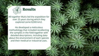 Results
All together Mutis led the expedition for
over 25 years during which they
explored some 8,000 km2.
He developed a meticulous
methodology that included recollecting
the samples in the field together with
detailed descriptions, including data
about the environment of each species
and their medical or industrial uses.
 