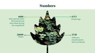 6717
Drawnings
2738
Different
classifications
were produced
6000
New species were
discovered and
described during
the expedition
20000
Plates
Numbers
 