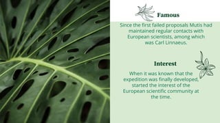 Famous
Since the first failed proposals Mutis had
maintained regular contacts with
European scientists, among which
was Carl Linnaeus.
Interest
When it was known that the
expedition was finally developed,
started the interest of the
European scientific community at
the time.
 