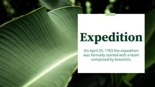 Expedition
On April 29, 1783 the expedition
was formally started with a team
composed by botanists.
 