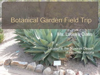 Botanical Garden Field Trip Ms. Laura’s Class Located in the Sonoran Desert,  in Phoenix, Arizona 