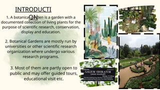 Exploration of Botanical Gardens of India | PPTX