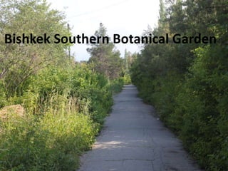 Bishkek Southern Botanical Garden
 