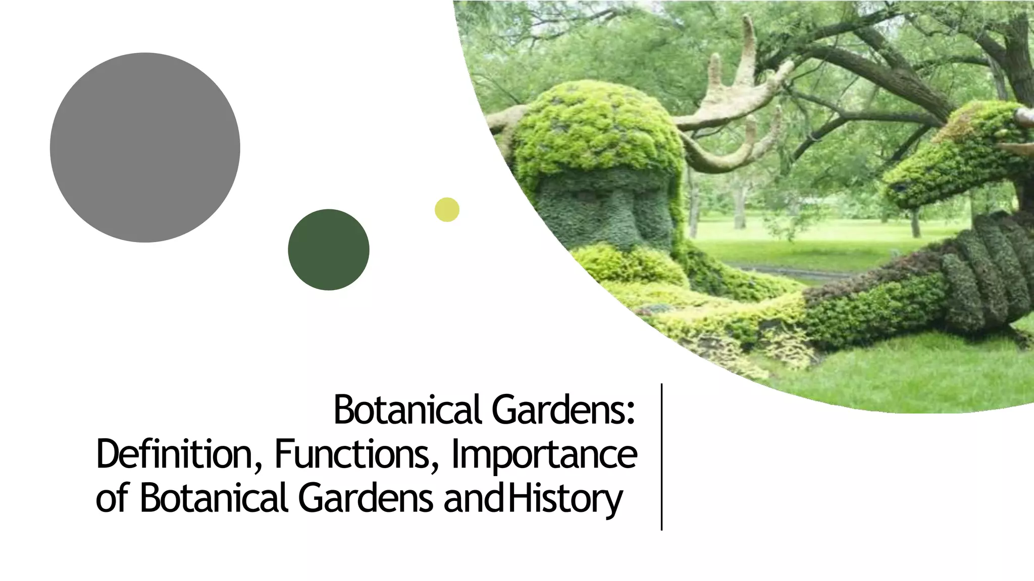 Botanical Garden Students Visit.pptx