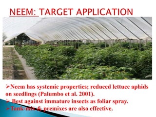 Botanical insecticides | PPTX
