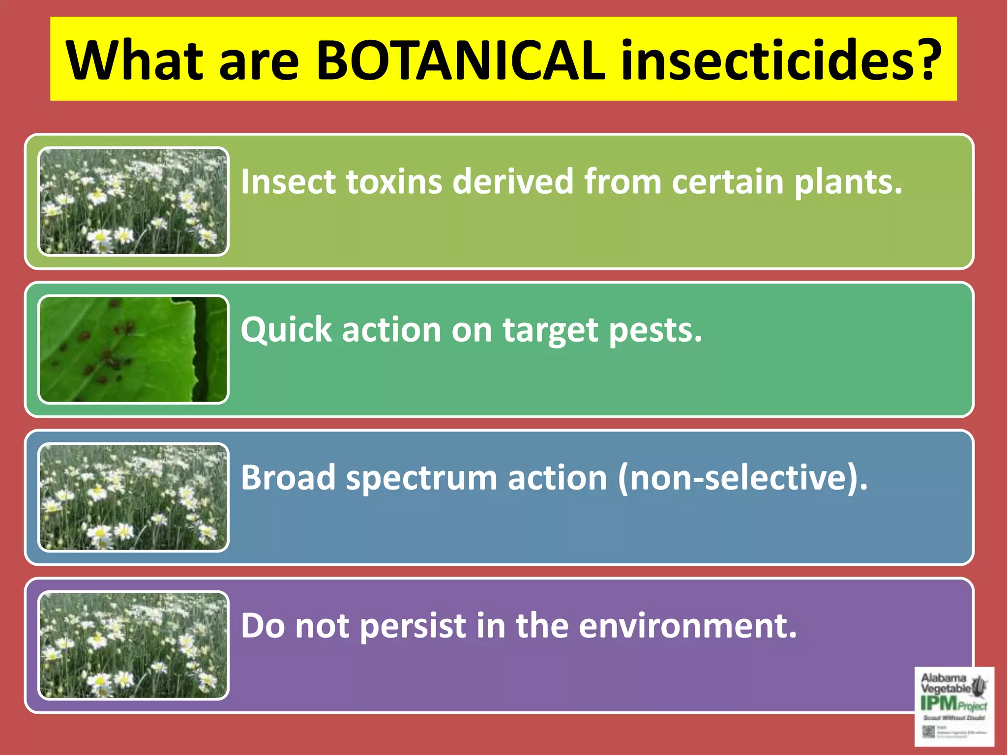 Botanical Insecticides (version 2013) | PPT